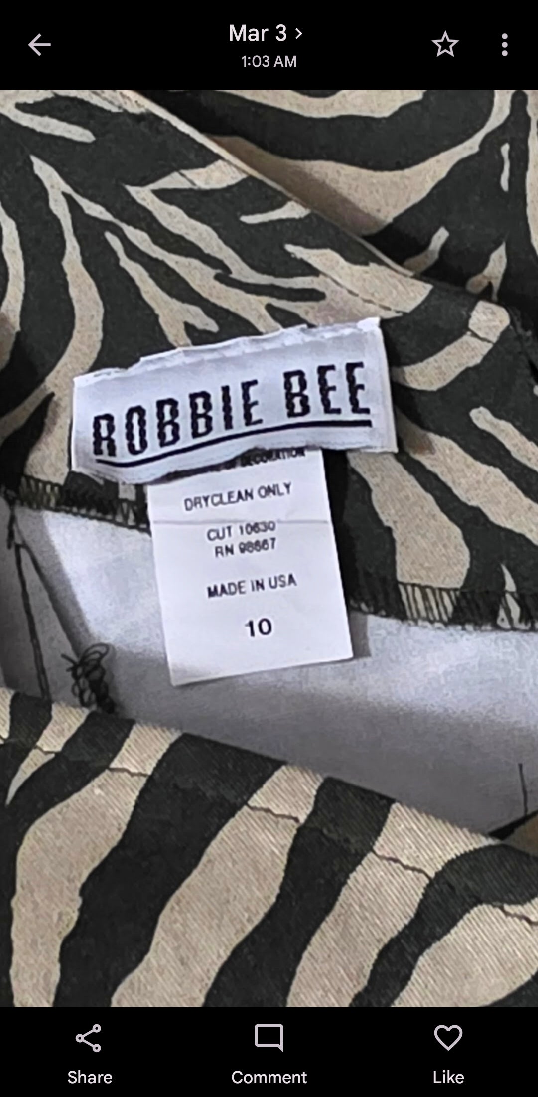 Robbie Bee
